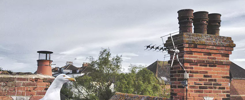 Chimney Cleaning And Restoration in Great Bend, Kansas